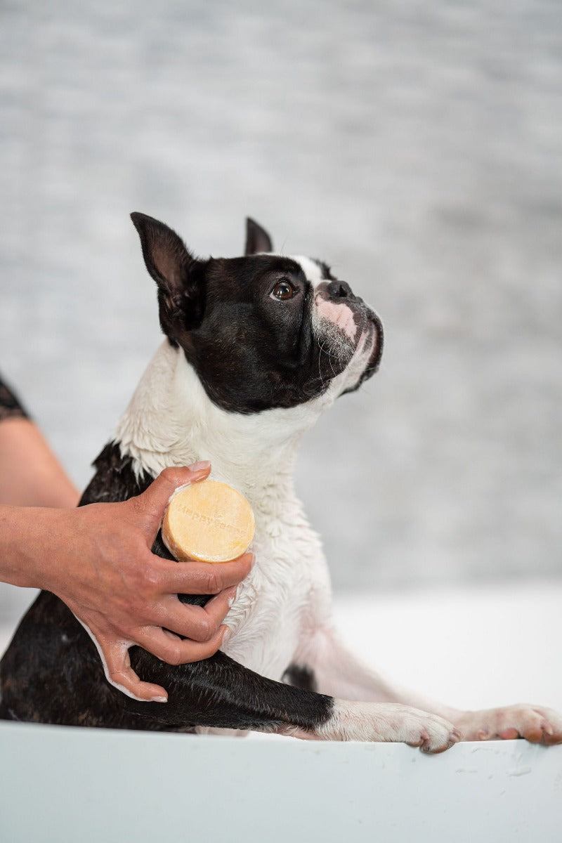 Dog Shampoo Bars